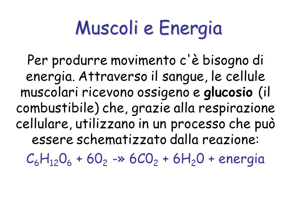 Muscoli e Energia
