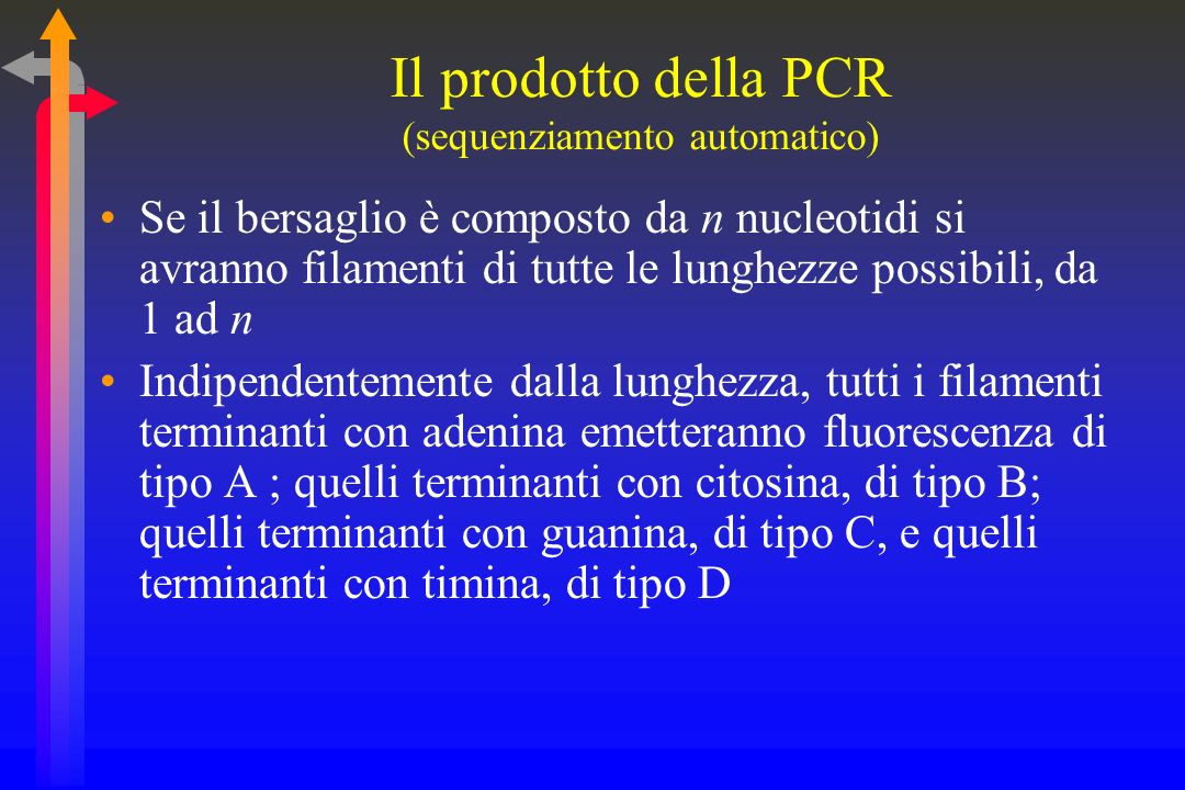 Il prodotto della PCR (sequenziamento automatico)