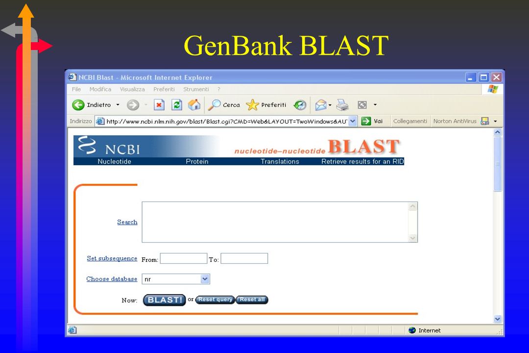 GenBank BLAST