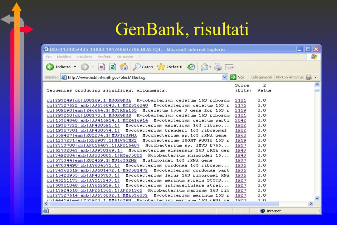 GenBank, risultati
