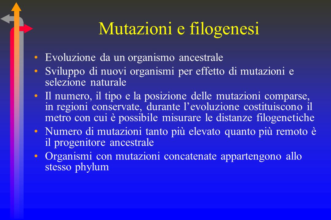 Mutazioni e filogenesi