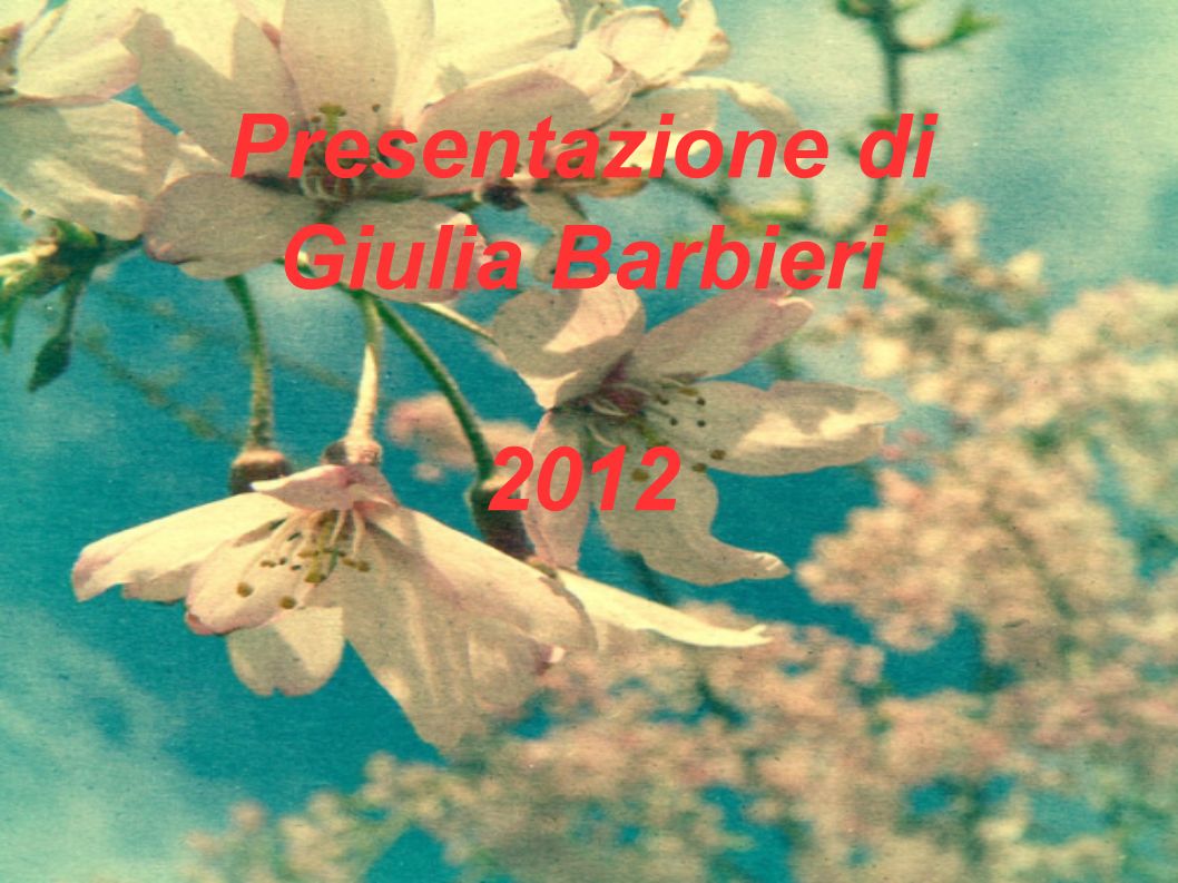 Presentazione di Giulia Barbieri 2012