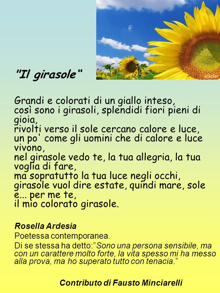 Poesie Di Girasoli Poesie Image