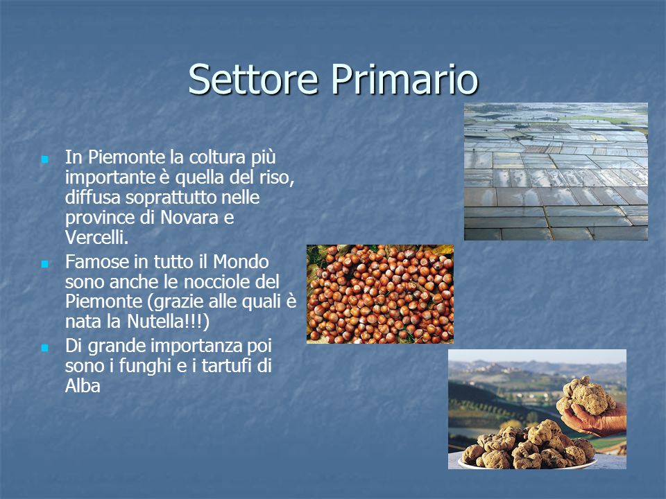 Settore Primario In Piemonte la coltura più importante è quella del riso, diffusa soprattutto nelle province di Novara e Vercelli.