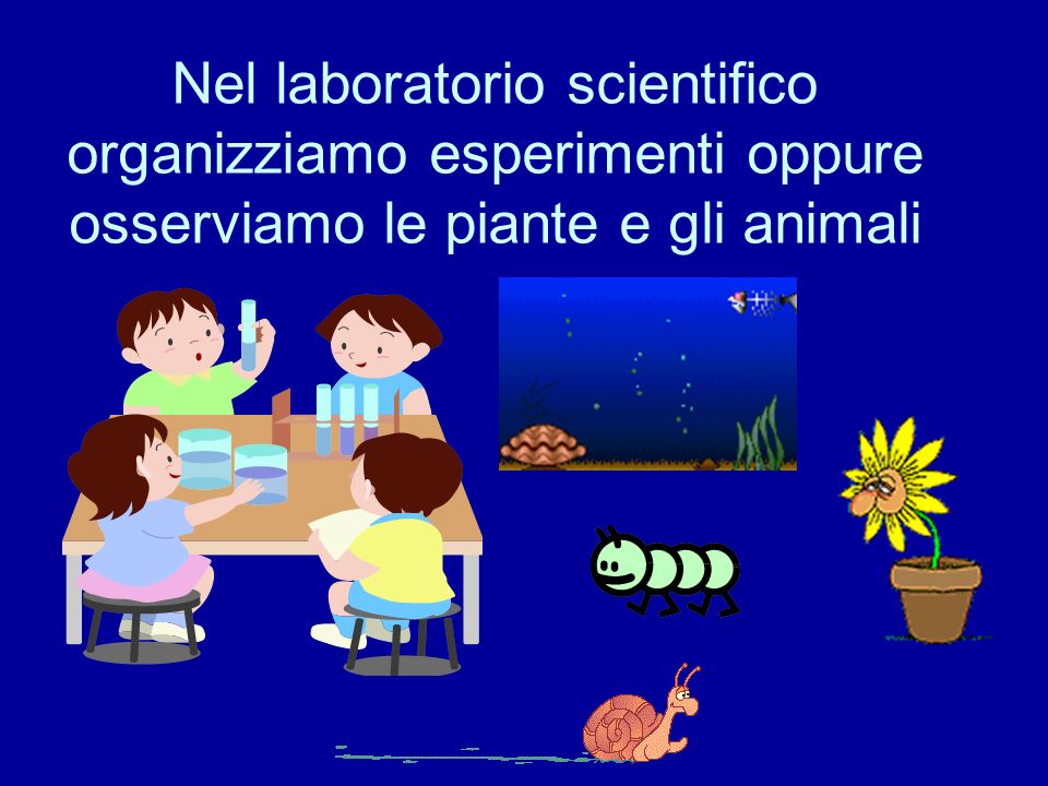 Nel laboratorio scientifico organizziamo esperimenti oppure osserviamo le piante e gli animali
