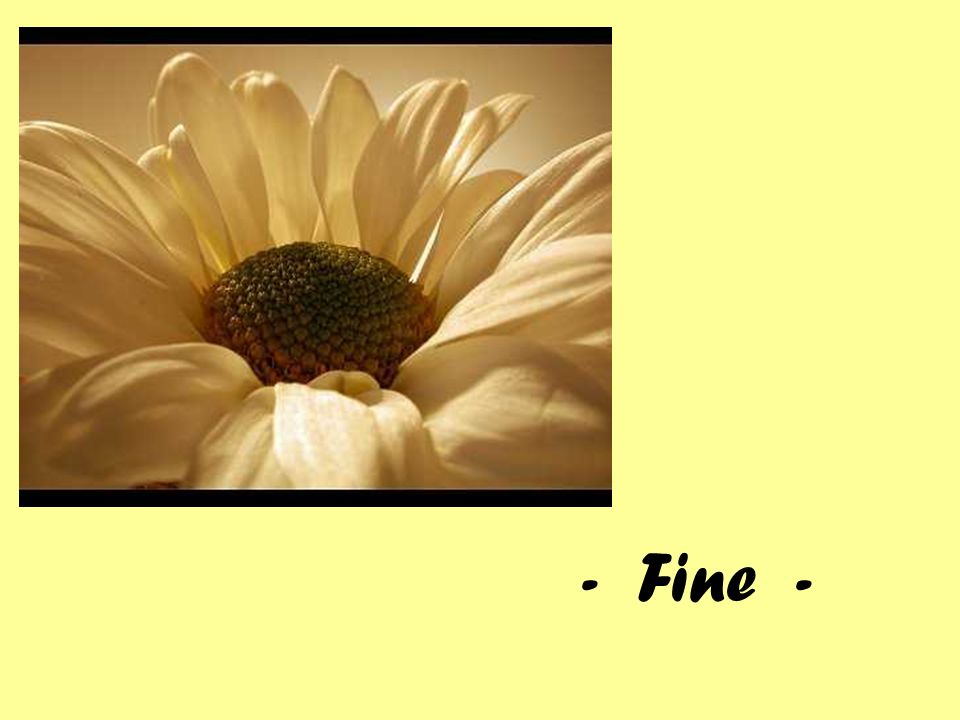 - Fine -