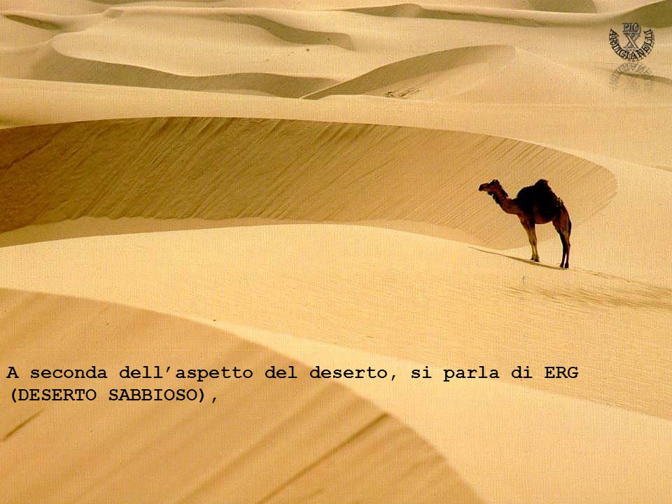 A seconda dell’aspetto del deserto, si parla di ERG (DESERTO SABBIOSO),