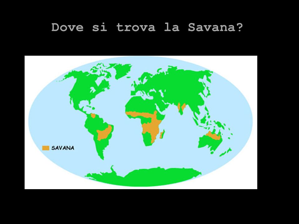Dove si trova la Savana