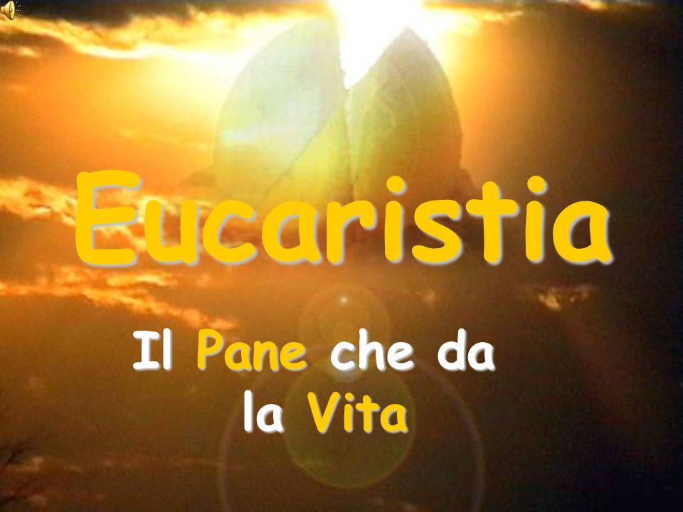 Eucaristia Il Pane che da la Vita