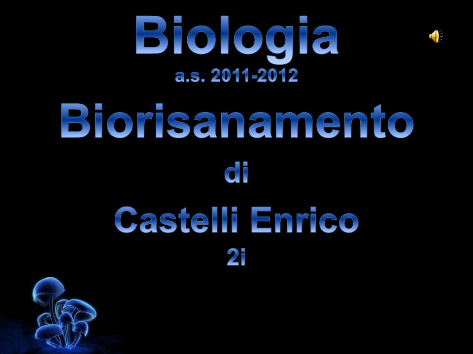 Biologia a.s Biorisanamento di Castelli Enrico 2i