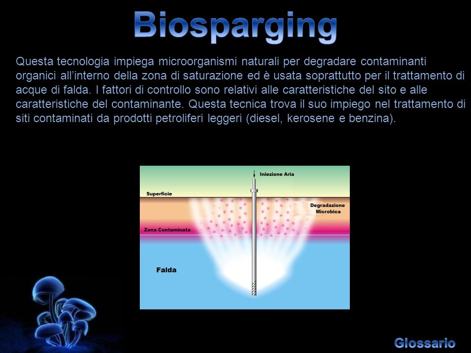Biosparging Glossario