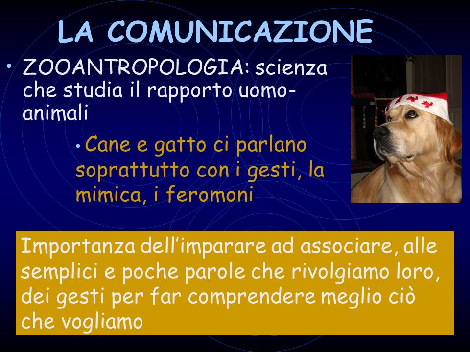 Il rapporto uomo-cane secondo un corretto approccio