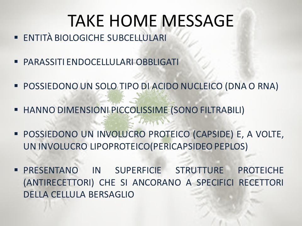 TAKE HOME MESSAGE ENTITÀ BIOLOGICHE SUBCELLULARI