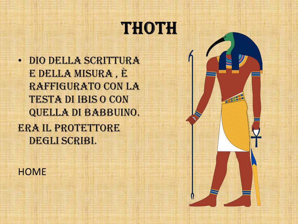 Thoth Dio della scrittura e della misura , è raffigurato con la testa di ibis o con quella di babbuino.