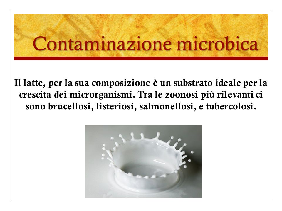 Contaminazione microbica