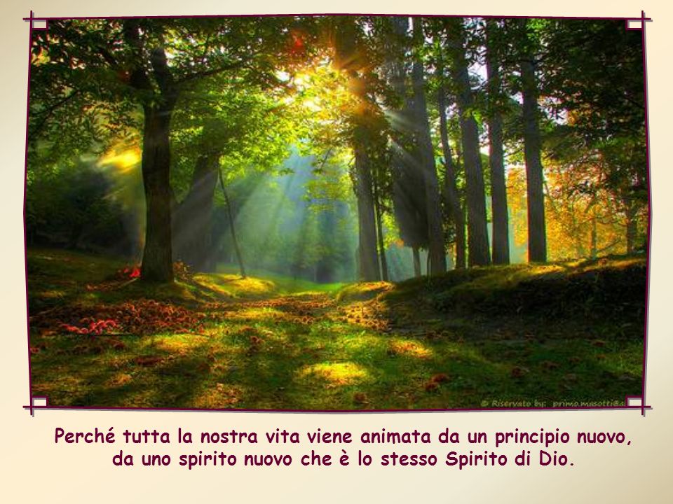 Perché tutta la nostra vita viene animata da un principio nuovo, da uno spirito nuovo che è lo stesso Spirito di Dio.