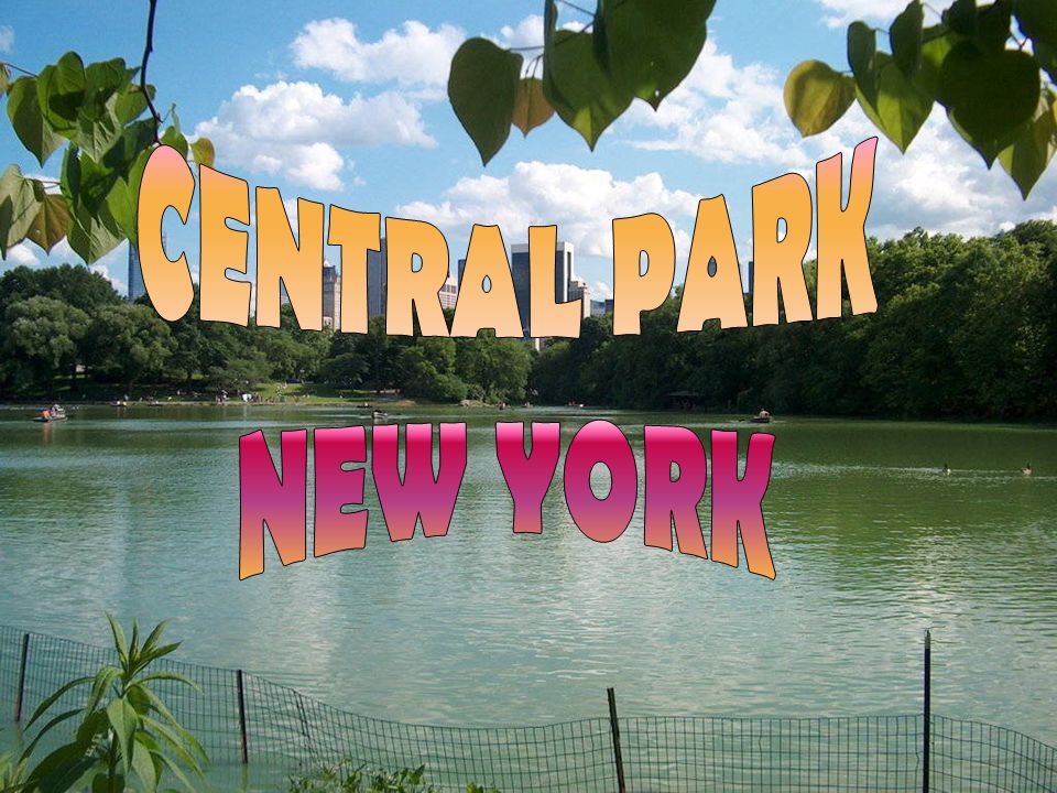 CENTRAL PARK NEW YORK