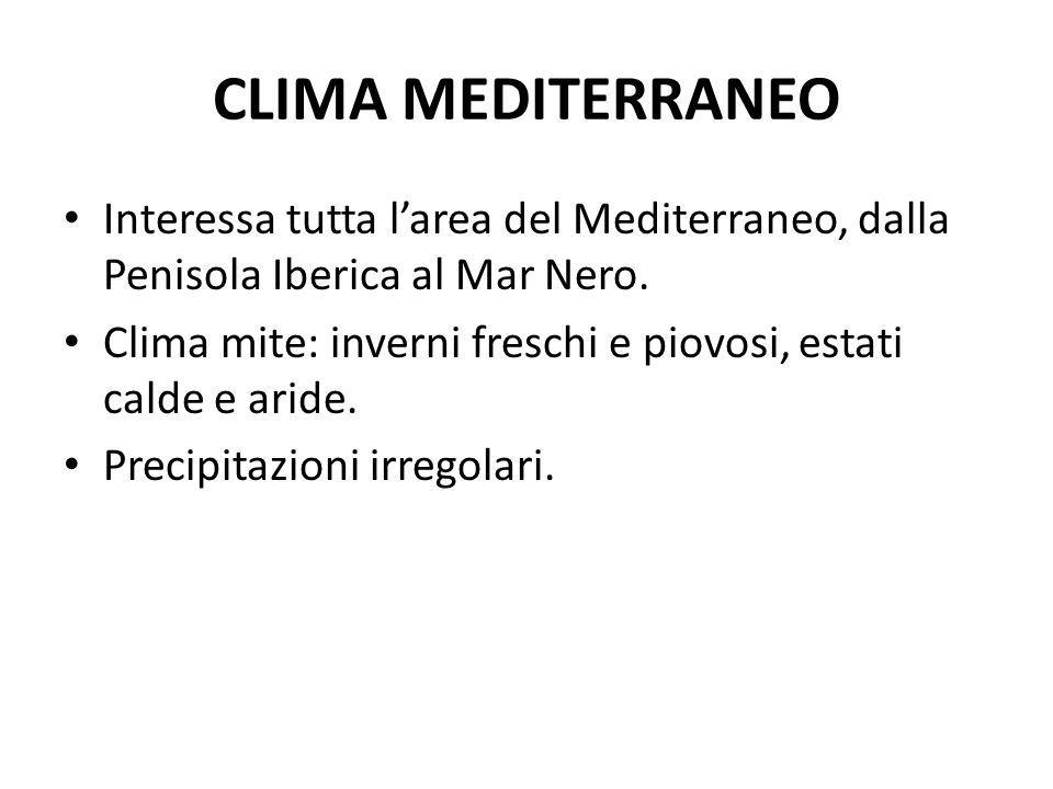 CLIMA MEDITERRANEO Interessa tutta l’area del Mediterraneo, dalla Penisola Iberica al Mar Nero.