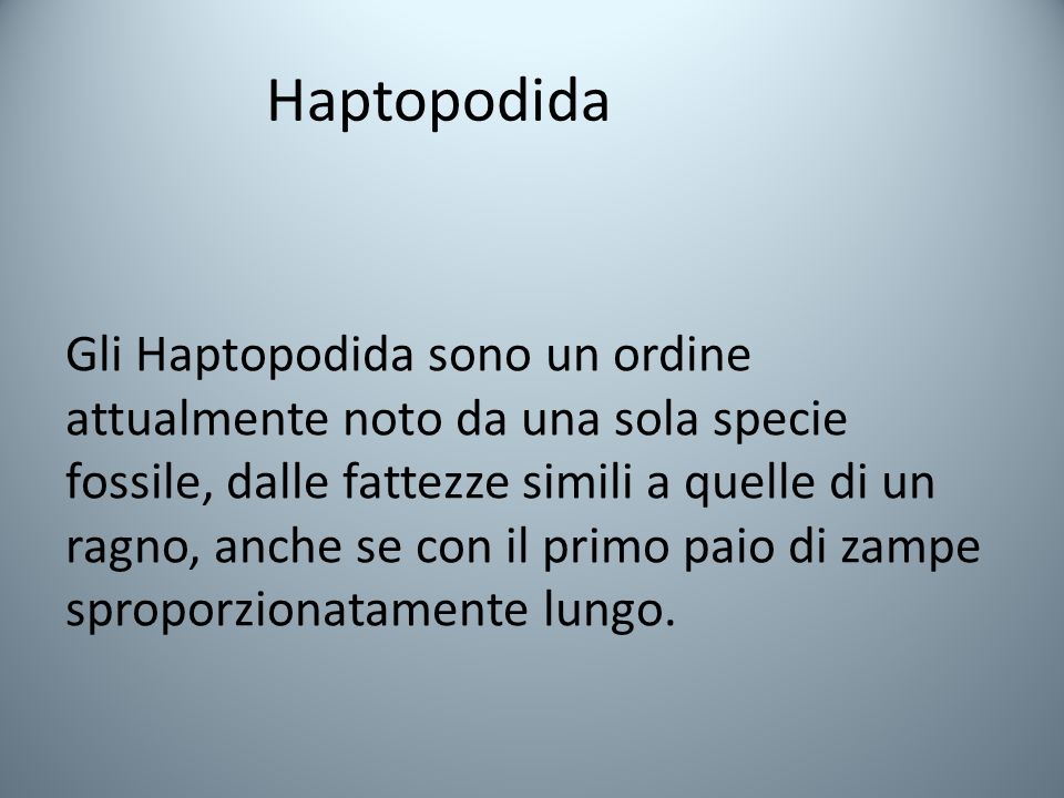 Haptopodida