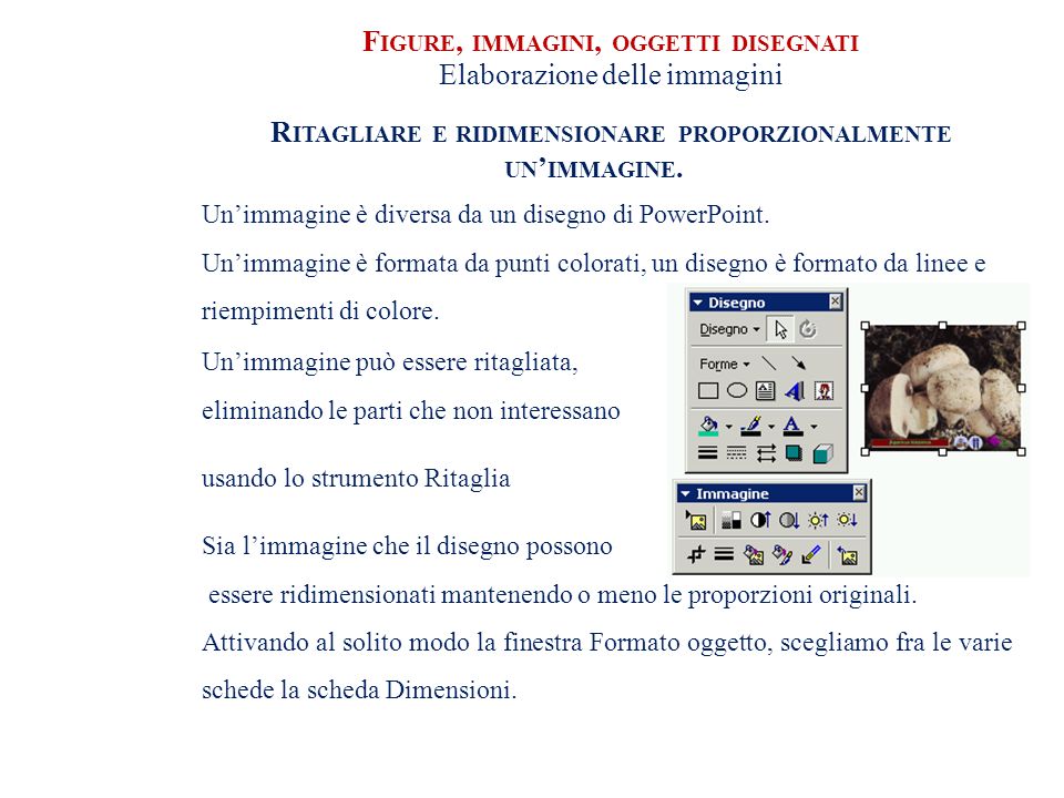 Figure Immagini Oggetti Disegnati Manipolazione Ppt