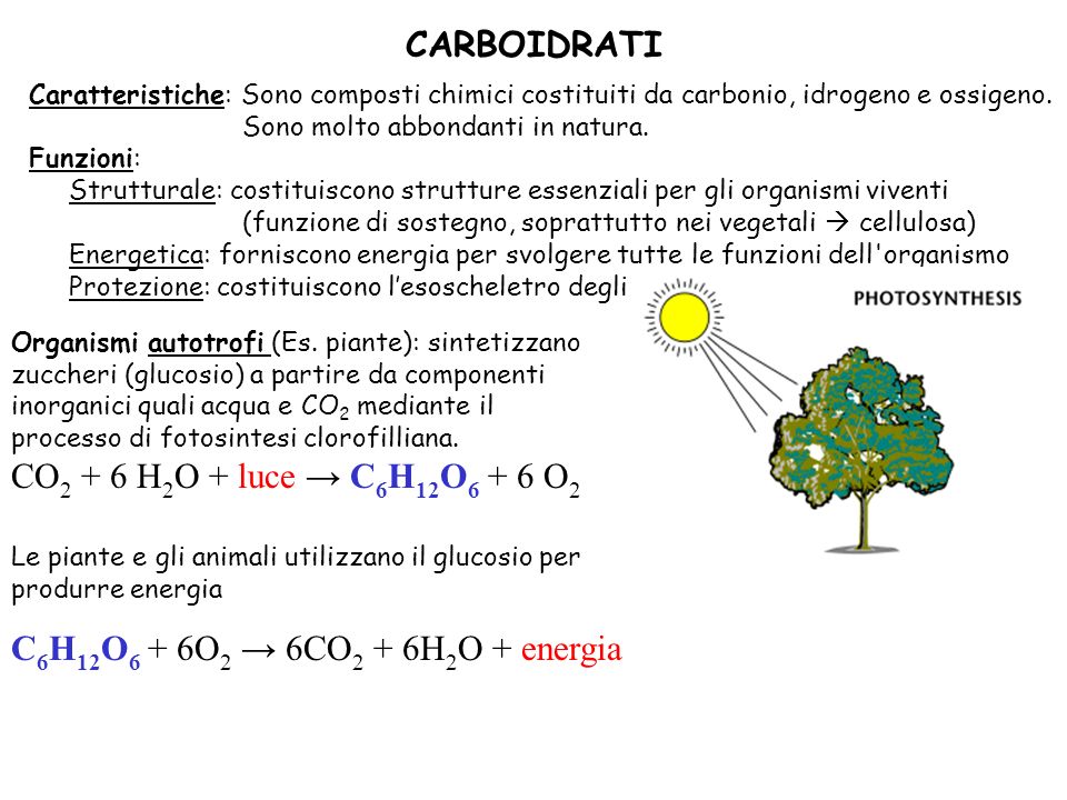 CARBOIDRATI CO2 + 6 H2O + luce → C6H12O6 + 6 O2