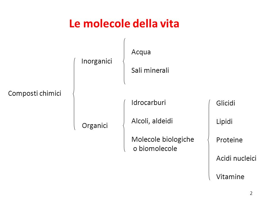 Le molecole della vita Inorganici Acqua Sali minerali Composti chimici