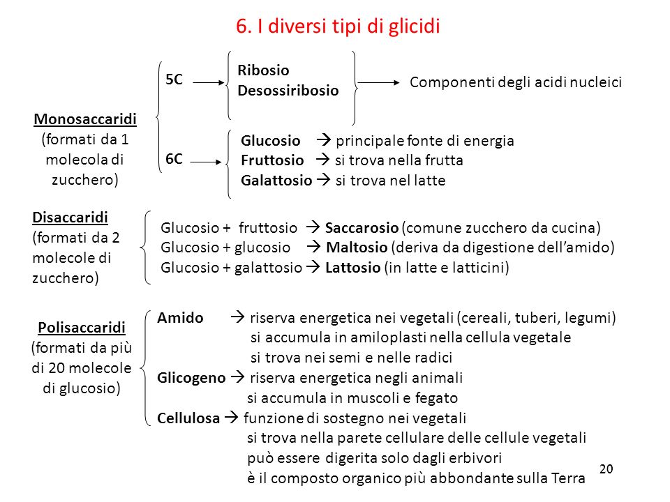6. I diversi tipi di glicidi