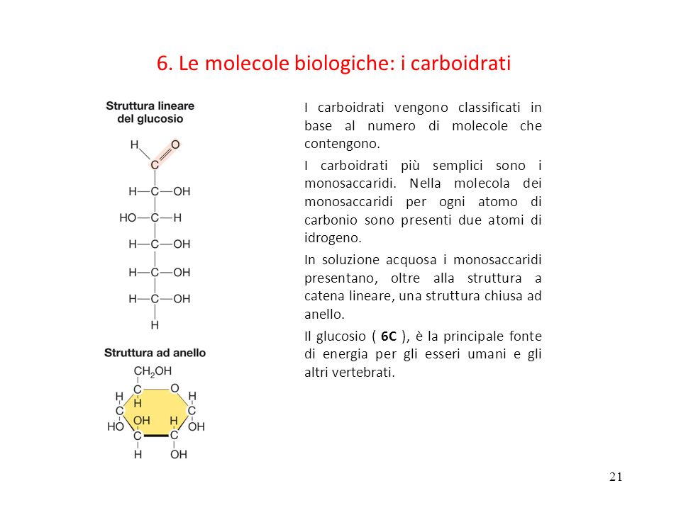 6. Le molecole biologiche: i carboidrati