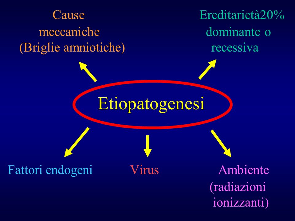 Cause Ereditarietà20% meccaniche dominante o (Briglie amniotiche) recessiva Etiopatogenesi Fattori endogeni Virus Ambiente (radiazioni ionizzanti)