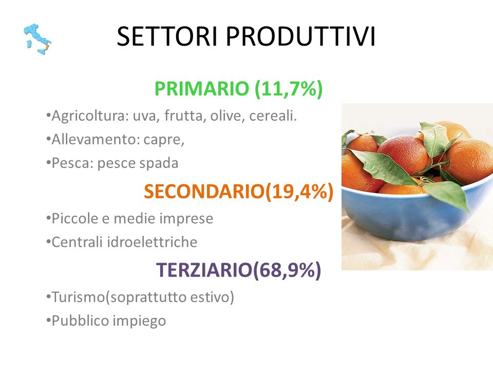 SETTORI PRODUTTIVI PRIMARIO (11,7%) SECONDARIO(19,4%) TERZIARIO(68,9%)
