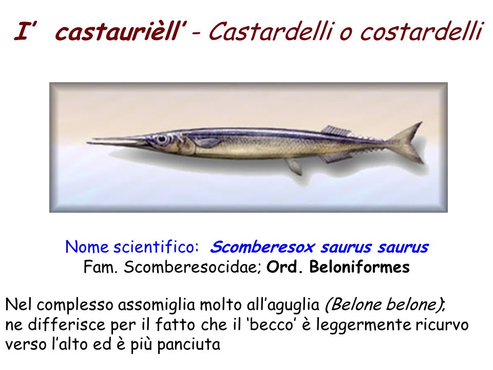 I’ castaurièll’ - Castardelli o costardelli