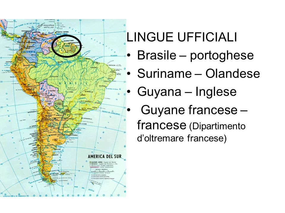 LINGUE UFFICIALI Brasile – portoghese. Suriname – Olandese.