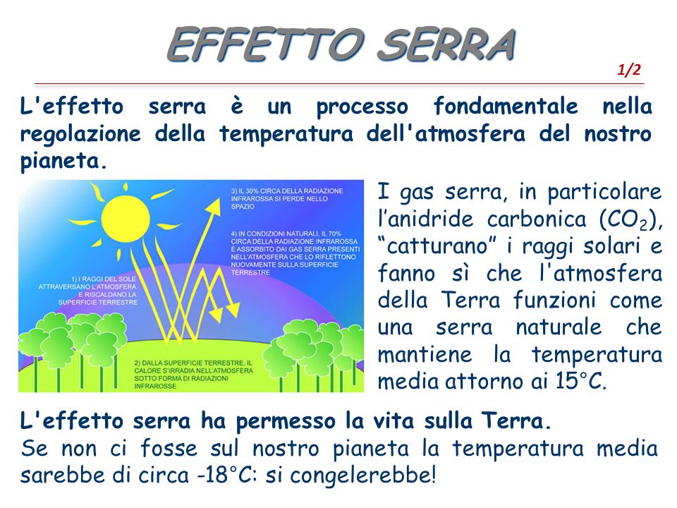 EFFETTO SERRA 1/2. L effetto serra è un processo fondamentale nella regolazione della temperatura dell atmosfera del nostro pianeta.