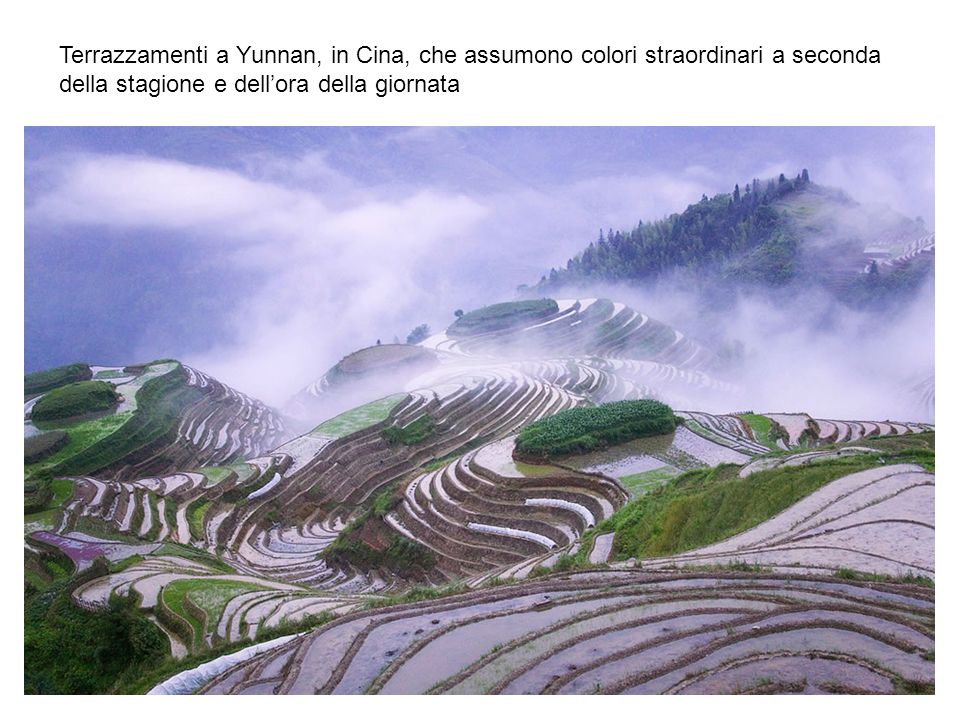 Terrazzamenti a Yunnan, in Cina, che assumono colori straordinari a seconda della stagione e dell’ora della giornata