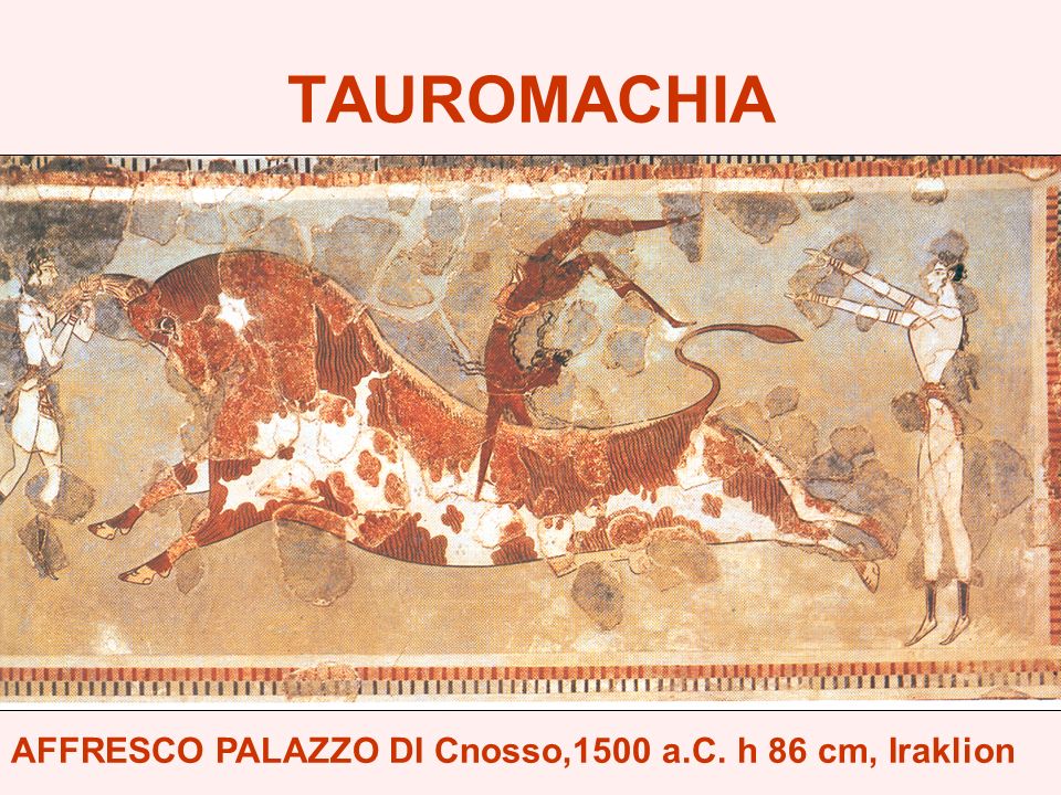TAUROMACHIA AFFRESCO PALAZZO DI Cnosso,1500 a.C. h 86 cm, Iraklion