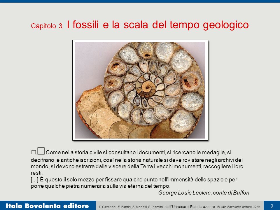 Carbonio 14 il nuclide radioattivo usato nei fossili datati ha
