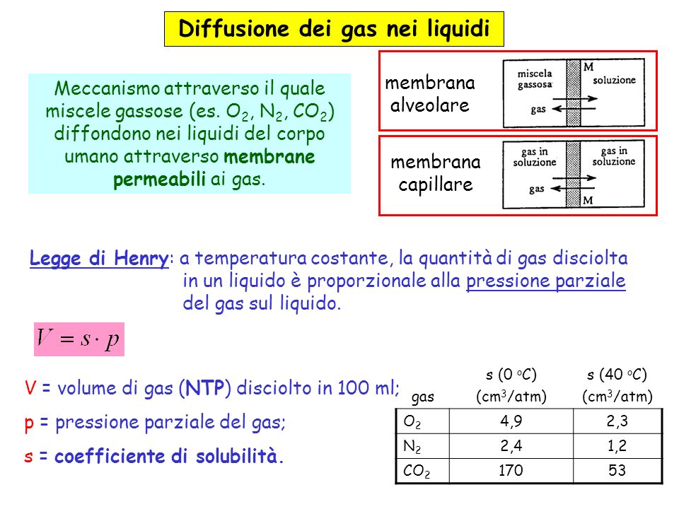 Diffusione dei gas nei liquidi