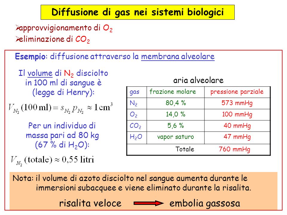 Diffusione di gas nei sistemi biologici