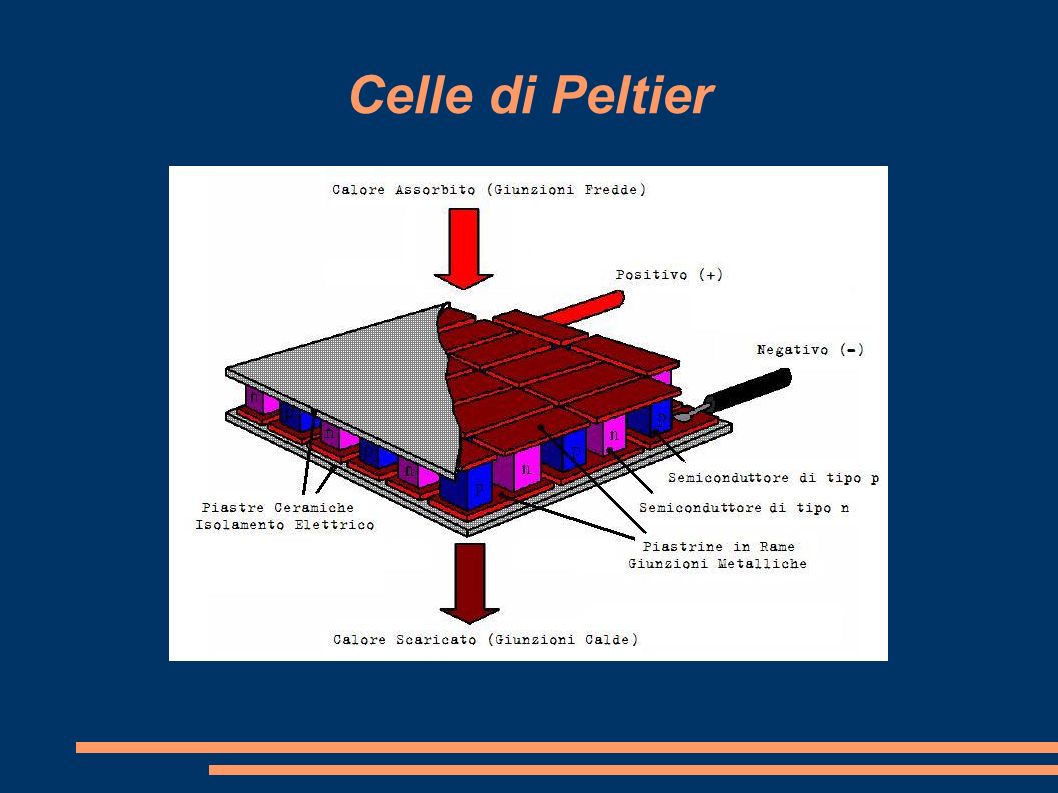 UNIVERSITA' DEGLI STUDI DI PAVIA - ppt scaricare