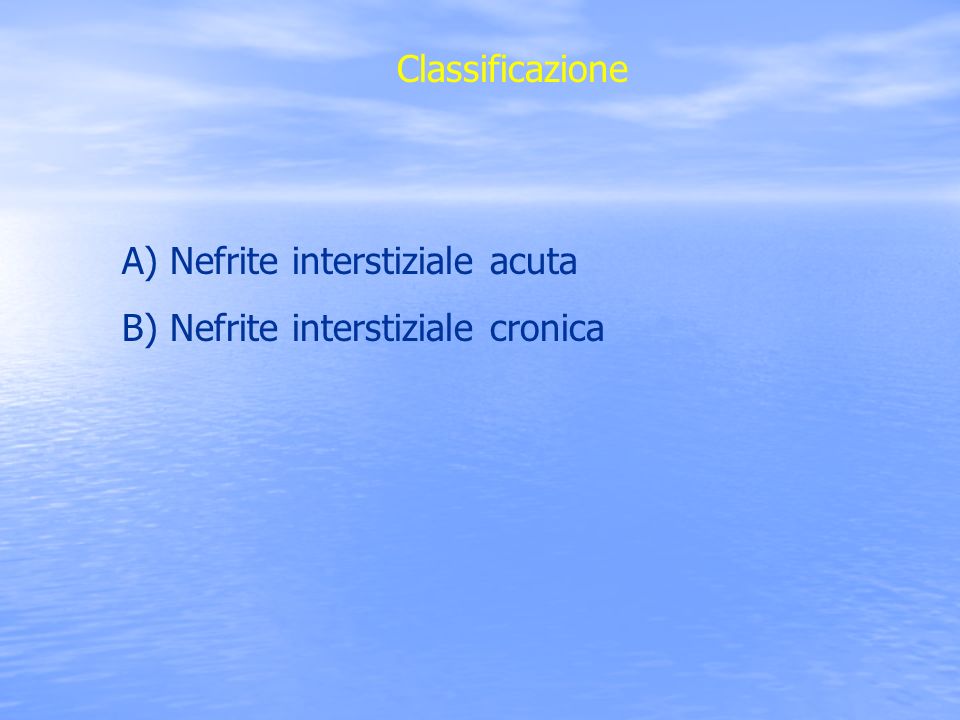 Classificazione Nefrite interstiziale acuta Nefrite interstiziale cronica